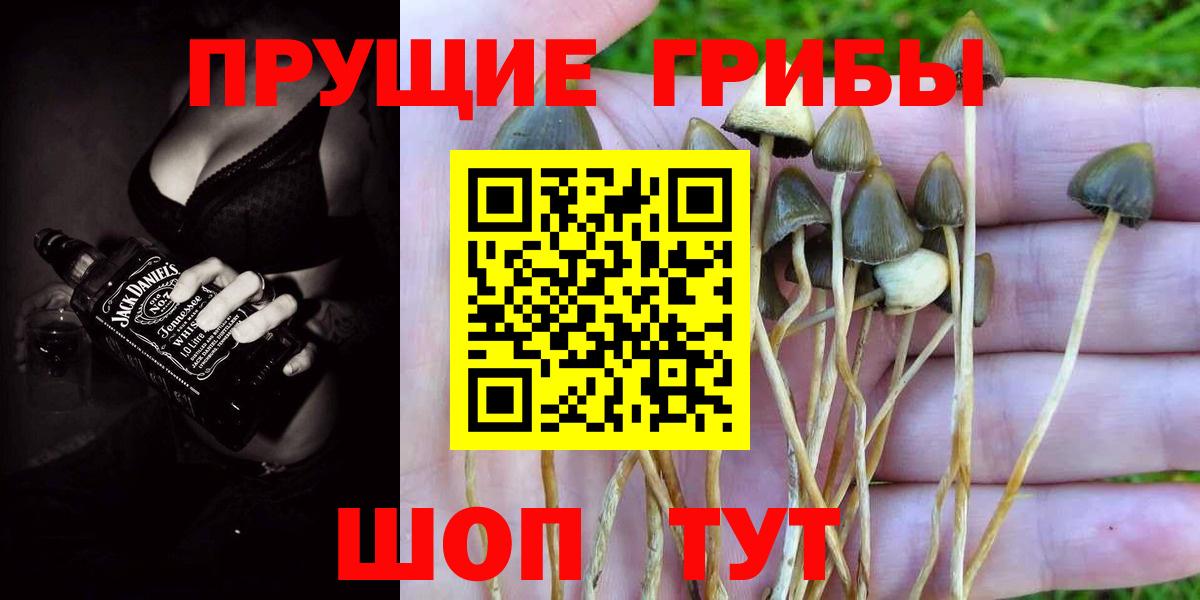 Галлюциногенные грибы ЛСД Скопин